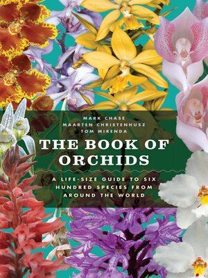 cover image of The Book of Orchids